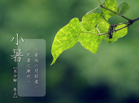 珠寶商平臺教你輕松趕走小暑的悶熱